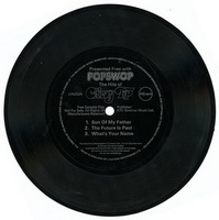 Popswop - Chicory Tip Flexi Disc