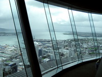 Auckland Sky Tower Window